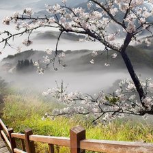 Схема вышивки «пейзаж»