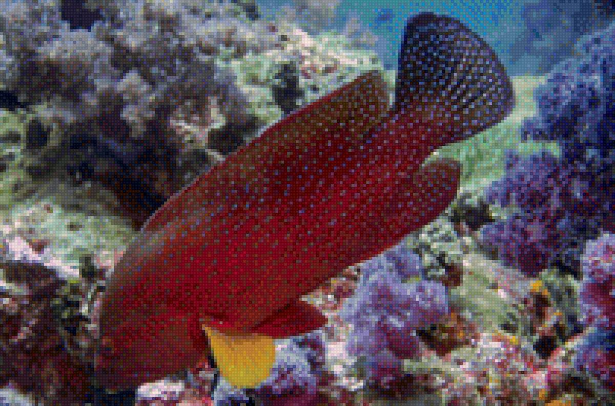 Рыбка - подводный мир, рыбка - предпросмотр