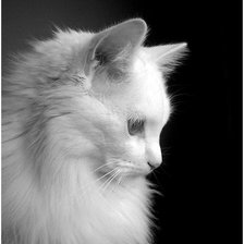 Схема вышивки «№1383186»