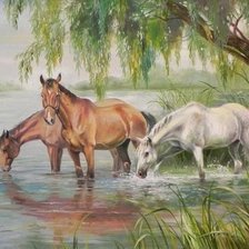 Схема вышивки «№1383251»