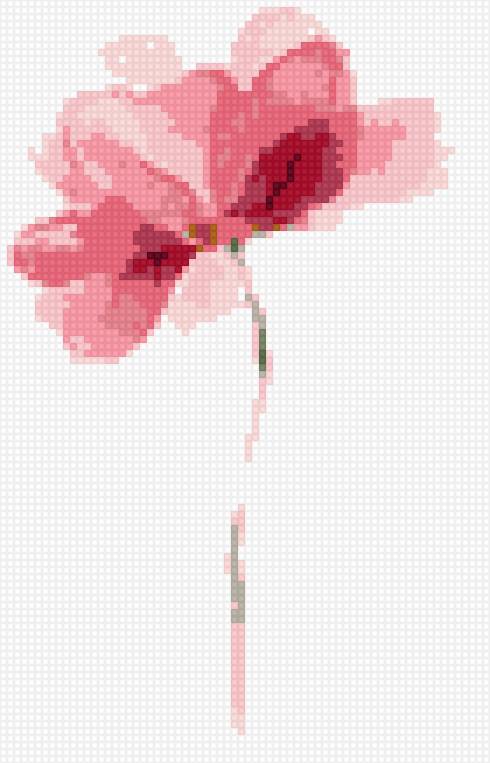 Акварель розовый цветок - акварель, цветок, розовый - предпросмотр