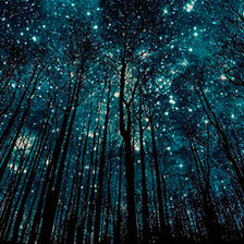 Схема вышивки «Ночное небо»