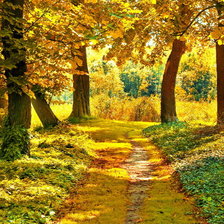 Схема вышивки «Осень»