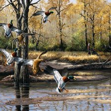 Схема вышивки «Утки на озере»