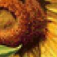 Предпросмотр схемы вышивки «подсолнухи» (№1385164)