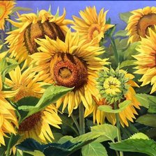 Схема вышивки «подсолнухи»