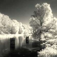 Схема вышивки «№1385311»