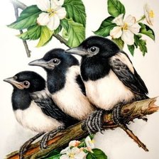 Схема вышивки «птички»