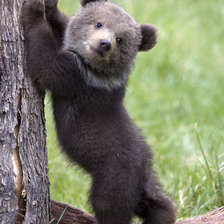 Схема вышивки «медвежонок»