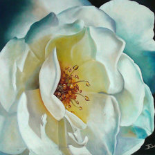 Схема вышивки «Шиповник»