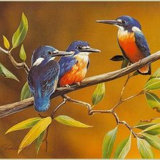 Схема вышивки «Птицы»