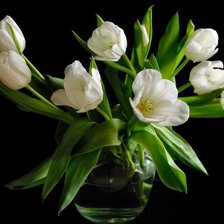 Схема вышивки «тюльпаны на черном фоне»