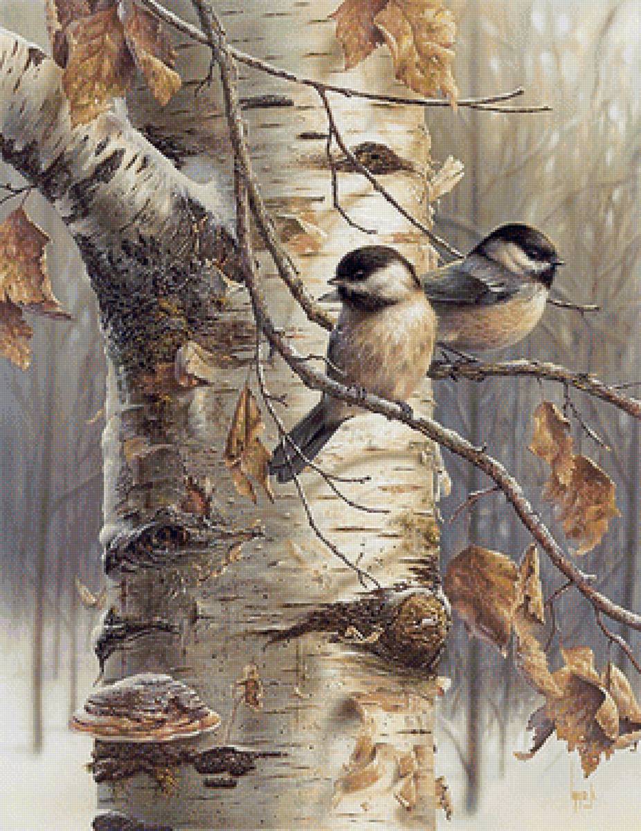 2 синички на березе - синички - предпросмотр