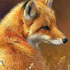 Схема вышивки «животные»