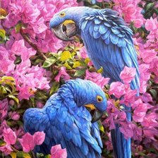 Схема вышивки «попугаи»