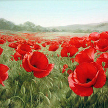 Схема вышивки «поле маков»