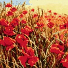 Схема вышивки «маковое поле»