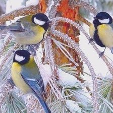 Схема вышивки «№1386772»