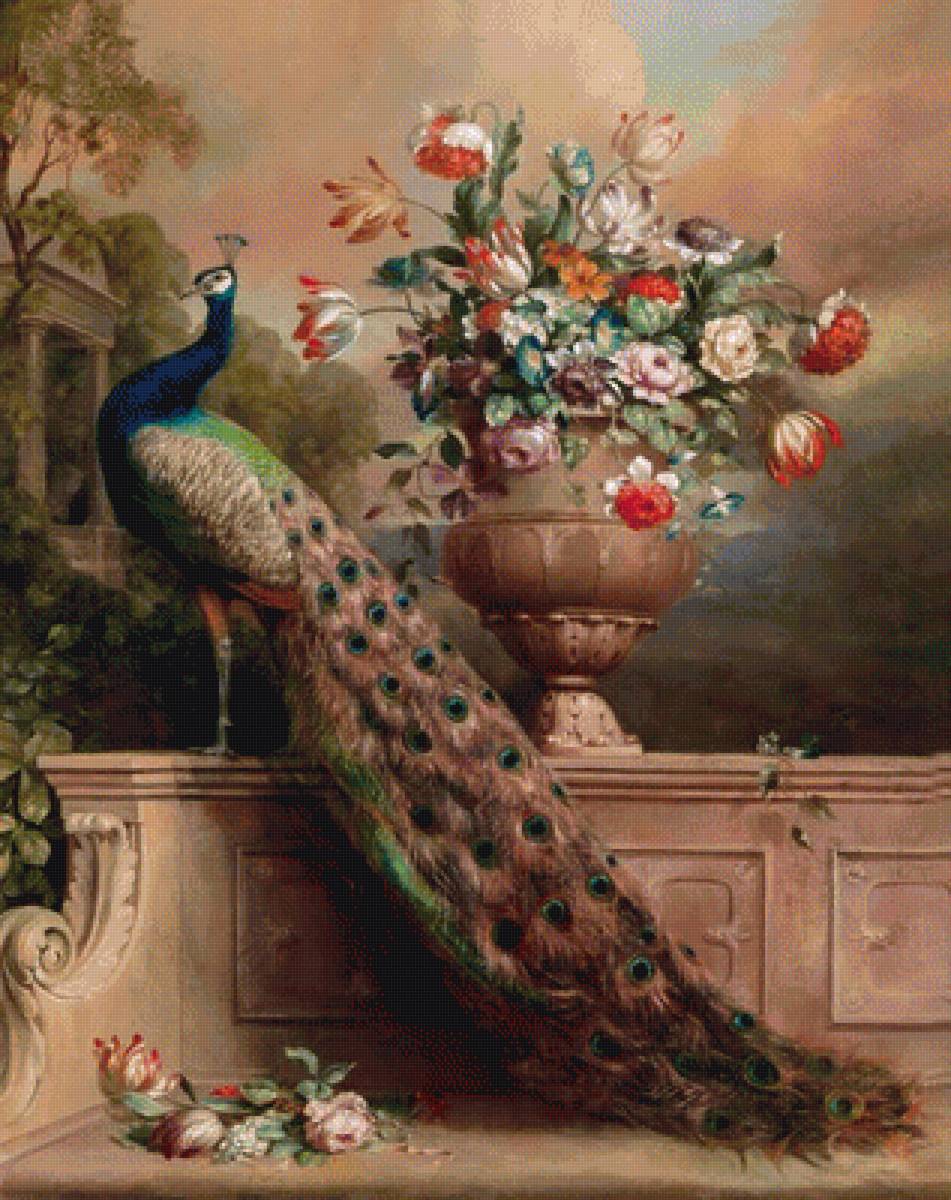 павлин красавец - павлин ваза цвети - предпросмотр