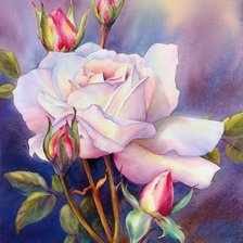 Схема вышивки «Роза»