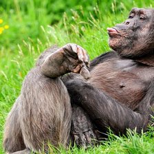 Схема вышивки «загораю»