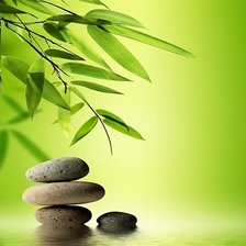 Схема вышивки «Гармония»