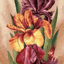 Схема вышивки «ирисы»