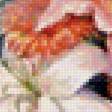 Предпросмотр схемы вышивки «натюрморт» (№1388219)