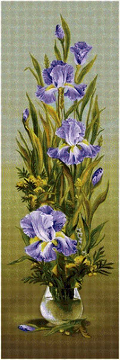 ирисы - цветы, ирисы - предпросмотр