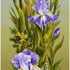 Схема вышивки «ирисы»