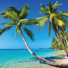 Схема вышивки «тропический остров»