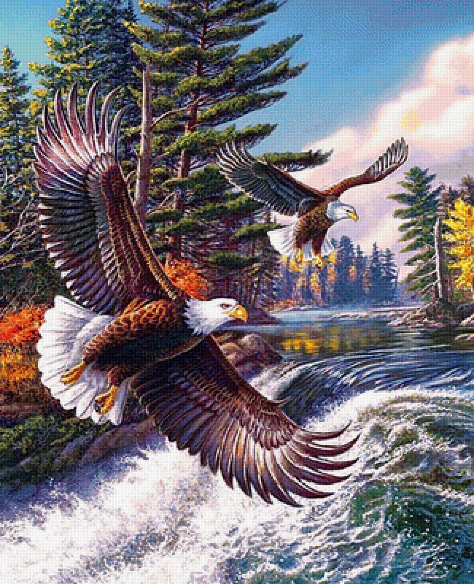 полёт над водой - природа, пейзаж, картина - предпросмотр