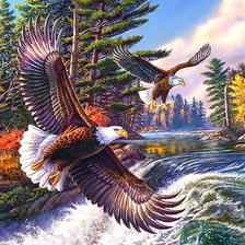 Схема вышивки «полёт над водой»