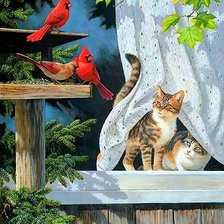 ночные гости