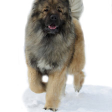 Схема вышивки «Стасик»