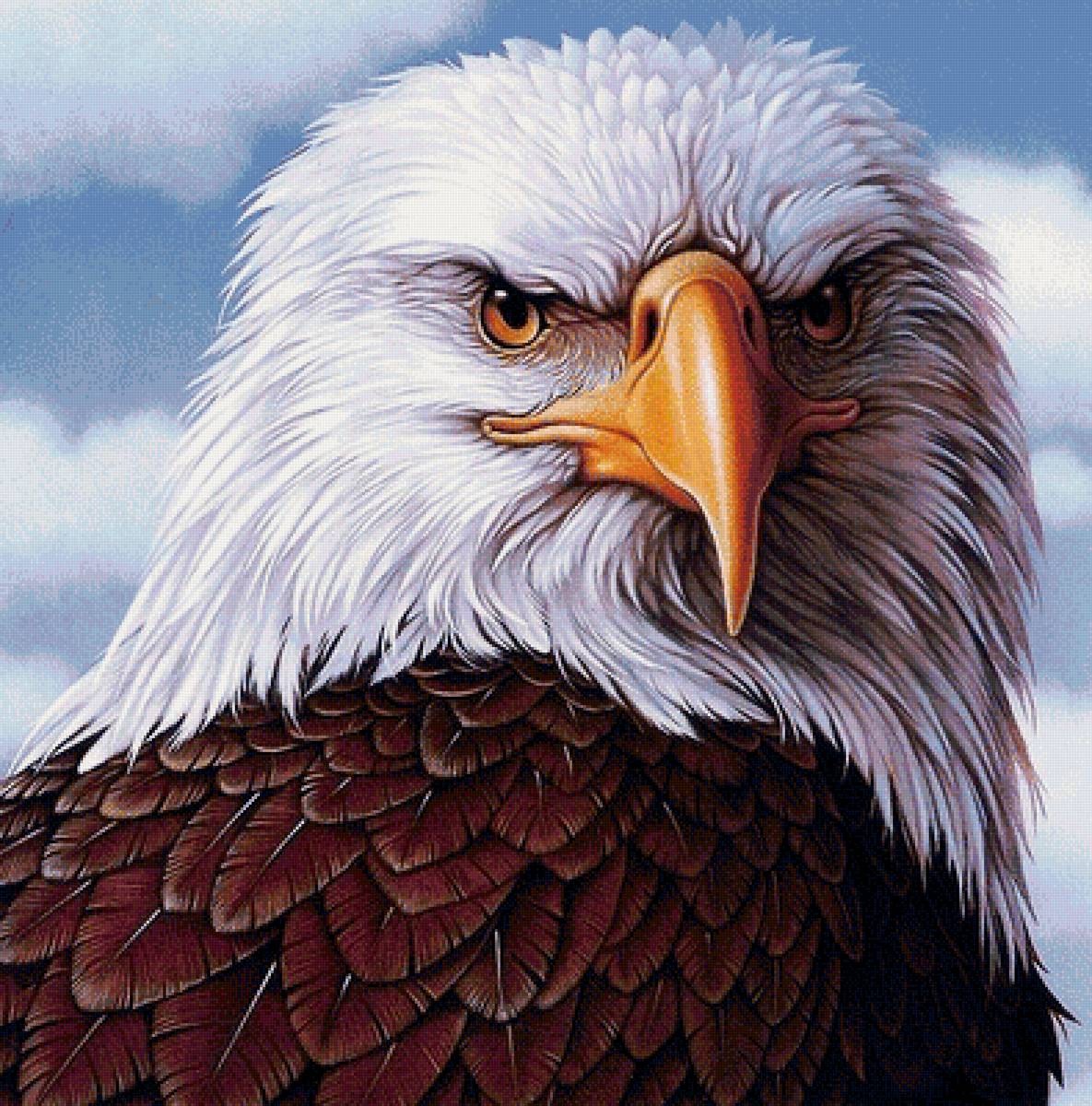 хозяин неба - орел, птицы, хищники - предпросмотр