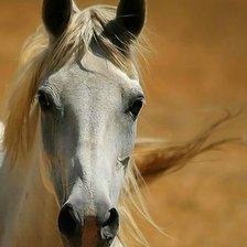 Схема вышивки «№1388925»