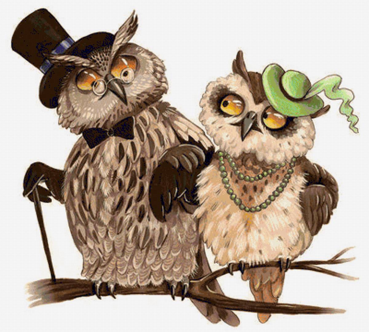 парочка - совы - предпросмотр