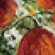 Предпросмотр схемы вышивки «Букет маков и яблоки» (№1389704)
