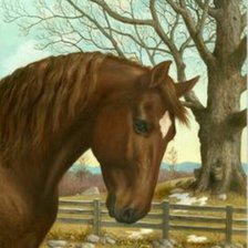 Схема вышивки «№1390184»