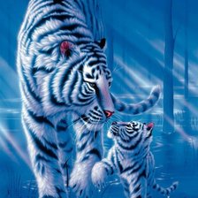 Схема вышивки «тигры»