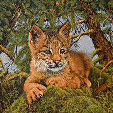 Схема вышивки «Рысенок»