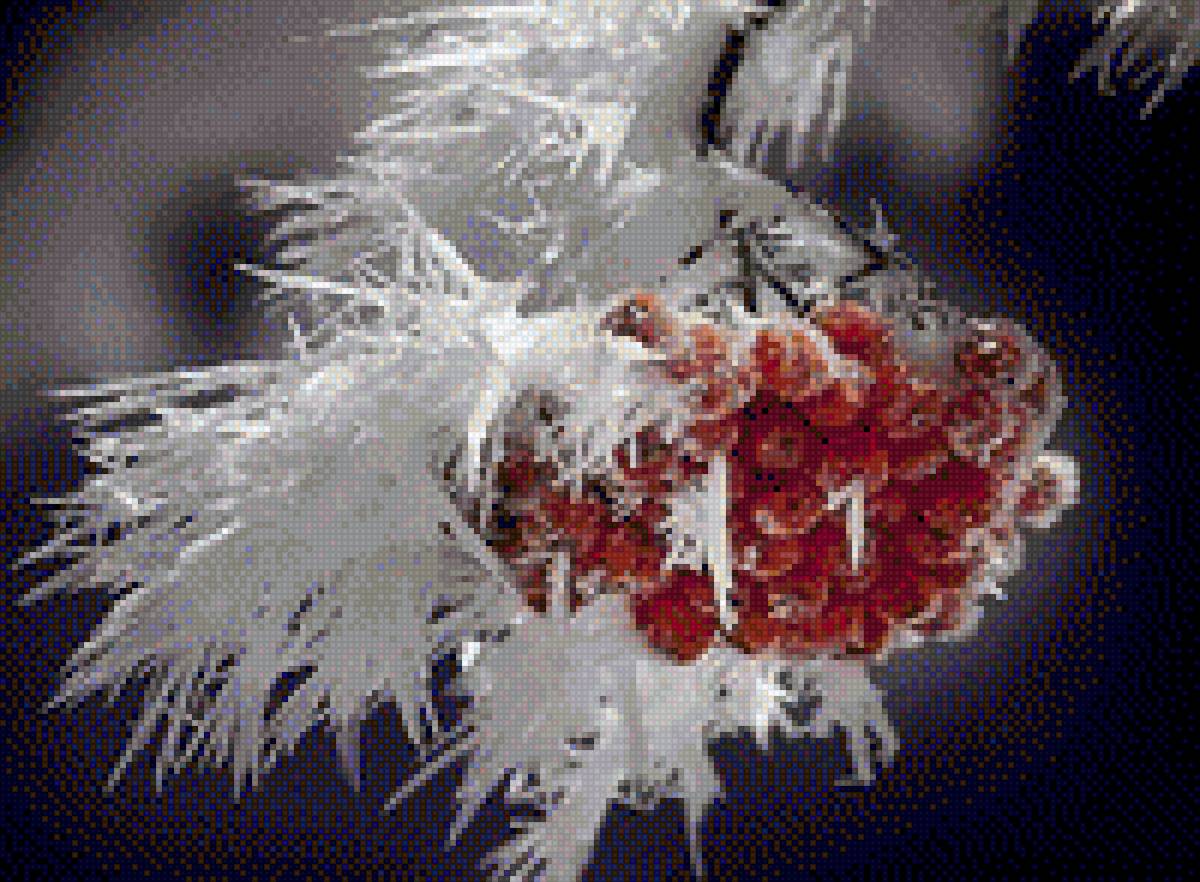 рябина в снегу - рябина - предпросмотр