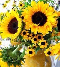 Схема вышивки «подсолнух»