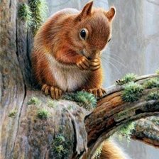 Схема вышивки «Белочка»