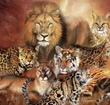 Схема вышивки «animales salvajes....»