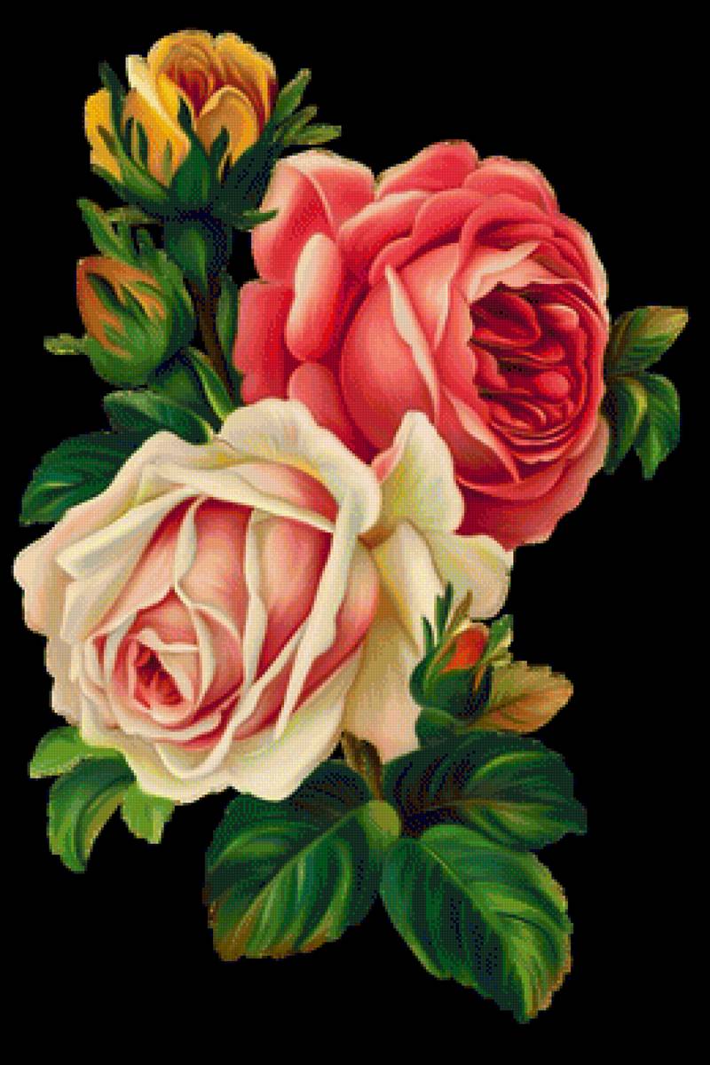 ruže - предпросмотр