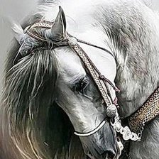 Схема вышивки «Лошадь»