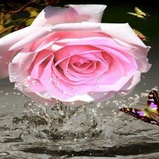 Схема вышивки «роза»