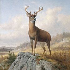 Схема вышивки «№1392121»